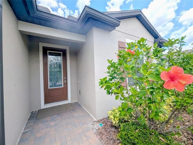 18810 Birchwood Groves Dr in Lutz, FL - Building Photo - Building Photo