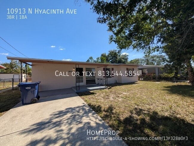 10913 Hyacinth Ave in Tampa, FL - Building Photo - Building Photo
