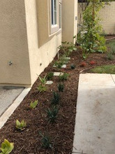 Hillside Terrace in La Habra, CA - Building Photo - Other