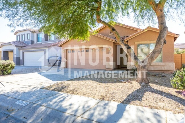 45679 W Tulip Ln in Maricopa, AZ - Building Photo - Building Photo