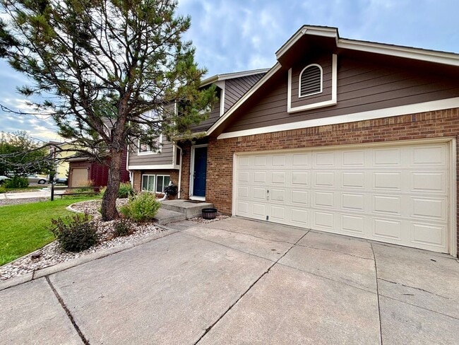 property at 1013 Kremmling Ln