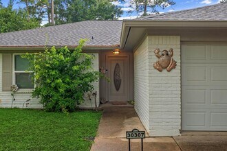 30307 Thorsby Dr in Spring, TX - Building Photo - Building Photo