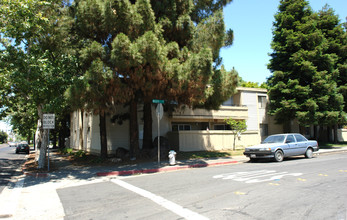 Meadow Rock Apartments in Concord, CA - Building Photo - Building Photo