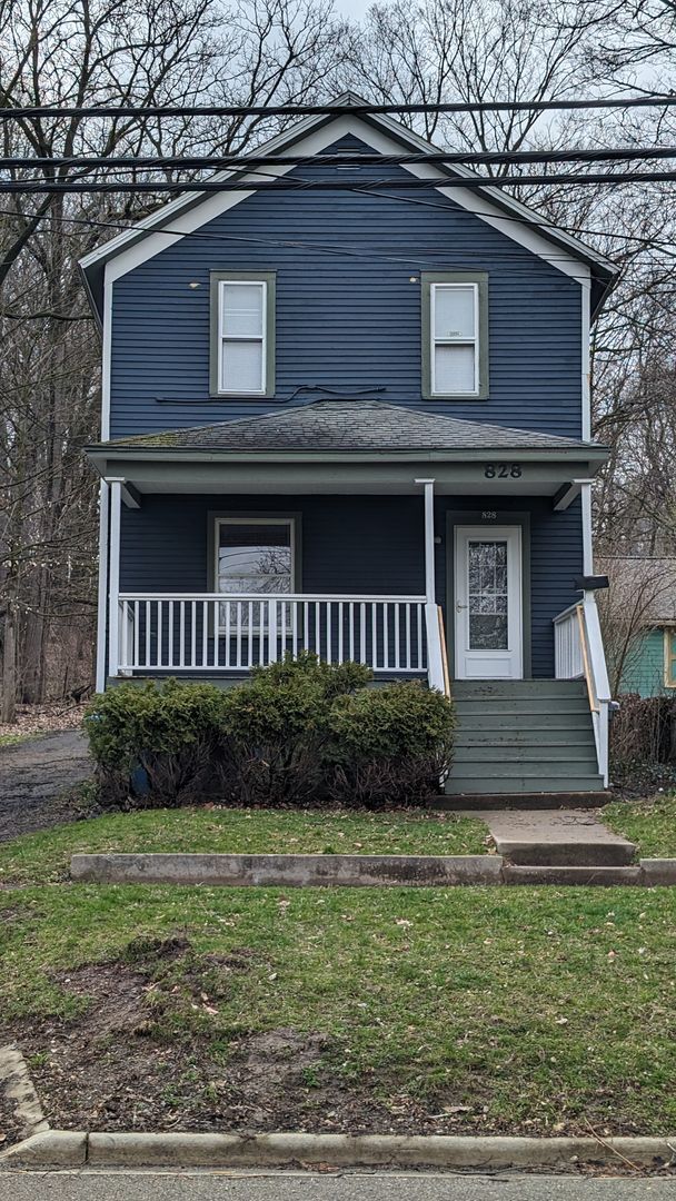 828 Davis St in Kalamazoo, MI - Building Photo - Building Photo