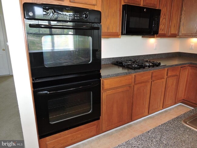 29622 Cobblestone Way in Millsboro, DE - Building Photo - Building Photo