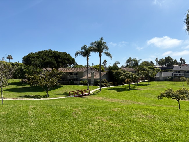 property at 407 Requeza St