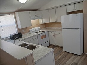 14006 Bluegill Ln in Hudson, FL - Building Photo - Building Photo