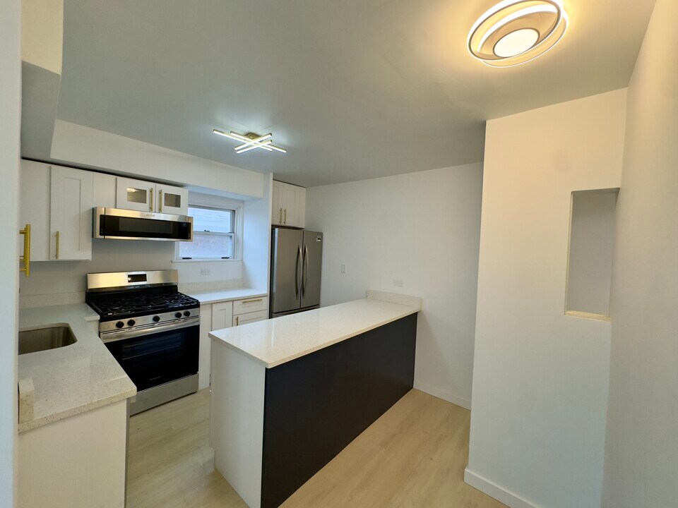 1335 Marengo Ave, Unit 1 in Forest Park, IL - Building Photo
