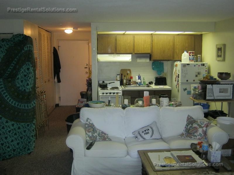 60 Greentree Ln, Unit 2 in Weymouth, MA - Building Photo