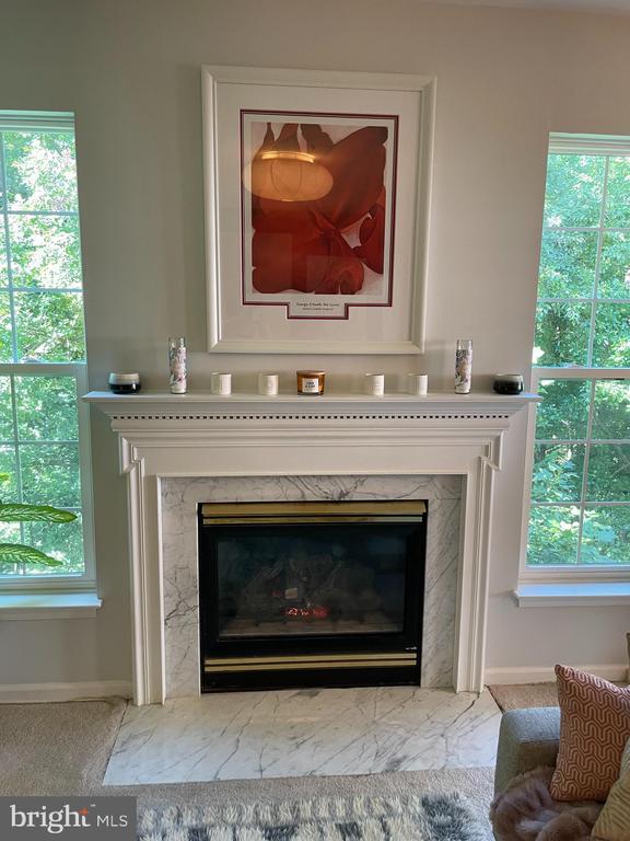 5948 Founders Hill Dr in Alexandria, VA - Building Photo - Building Photo