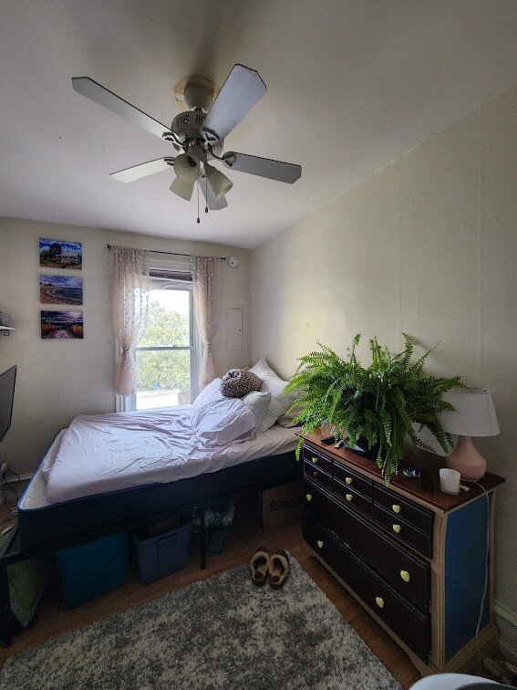 25 Intervale Ave Rentals in Burlington, VT