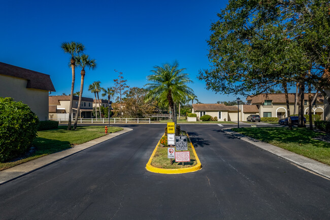 Cinnamon Lake in St. Petersburg, FL - Building Photo - Building Photo