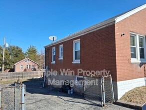 313 Carthage Ave in St. Louis, MO - Building Photo - Building Photo