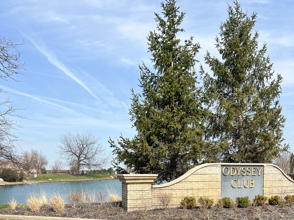 123 Iliad Dr in Tinley Park, IL - Building Photo