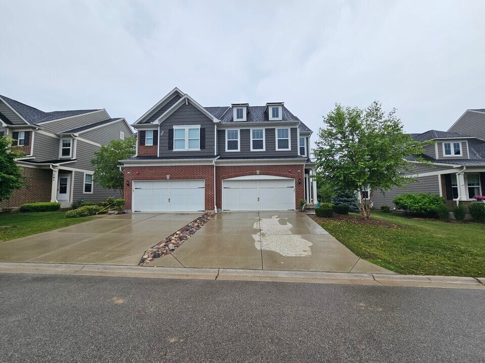 165 Waverly Ct in Bloomingdale, IL - Building Photo