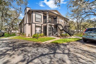 4032 Tumble Wood Trl in Tampa, FL - Building Photo