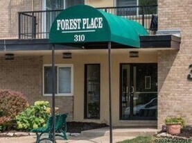 310 Lathrop Ave in Forest Park, IL - Building Photo