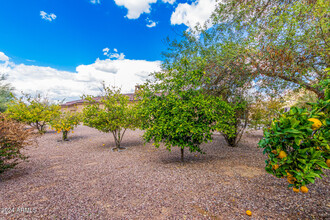 5339 E Royal Palm Rd in Paradise Valley, AZ - Building Photo - Building Photo