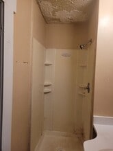 201 W Chestnut St in Crawfordsville, IN - Building Photo - Building Photo