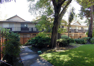 Rengstorff Gardens in Mountain View, CA - Building Photo - Building Photo