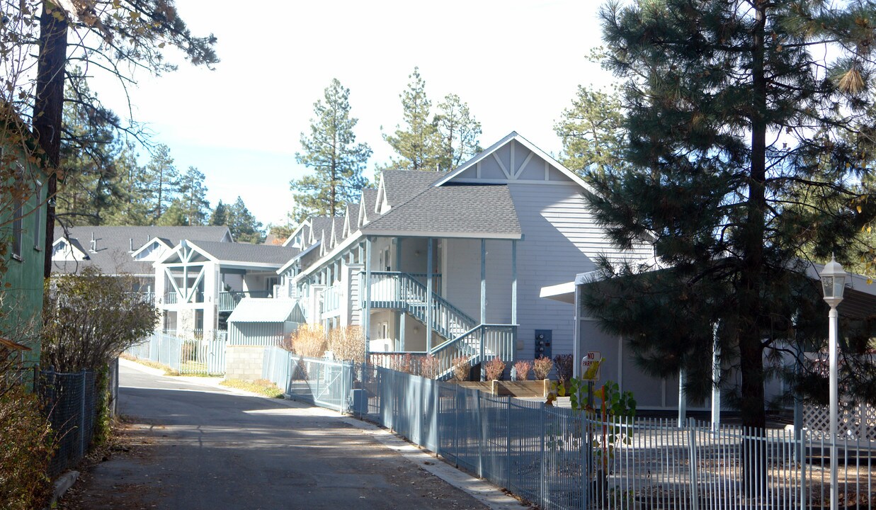 764 D Pine Knot Ave in Big Bear Lake, CA - Foto de edificio