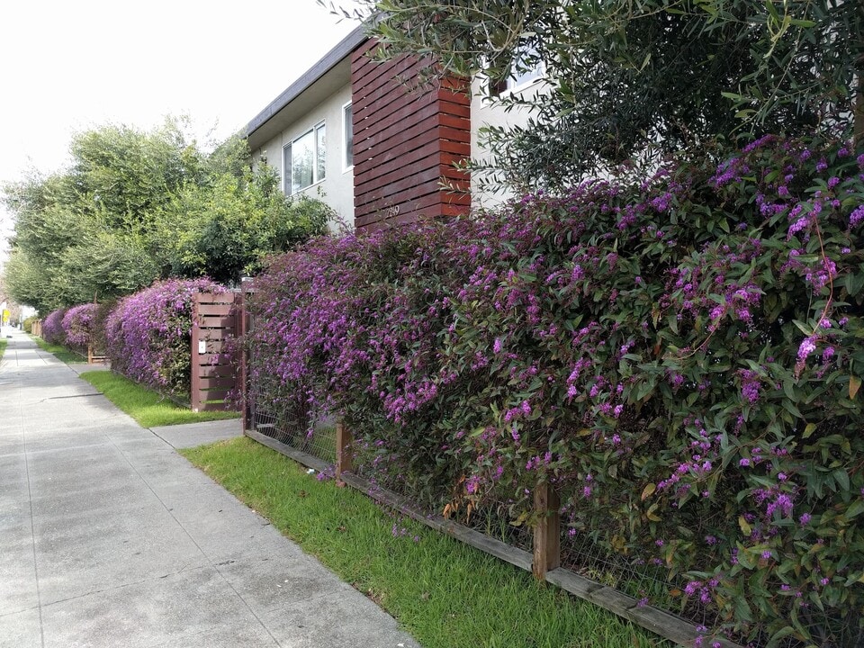 2235 Bonar St in Berkeley, CA - Foto de edificio