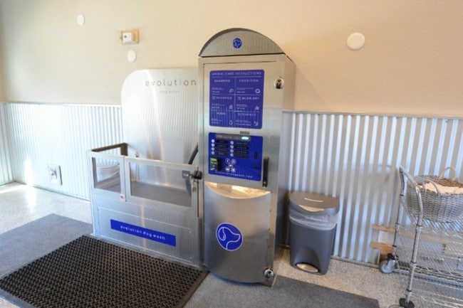 Overlook at Blue Ravine