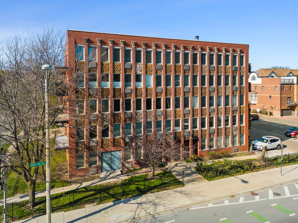 1041 Susan Collins Ln in Oak Park, IL - Building Photo