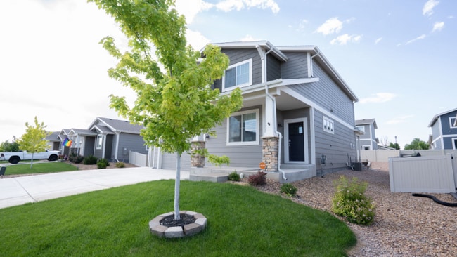 3892 Sweetgum St in Wellington, CO - Building Photo - Building Photo