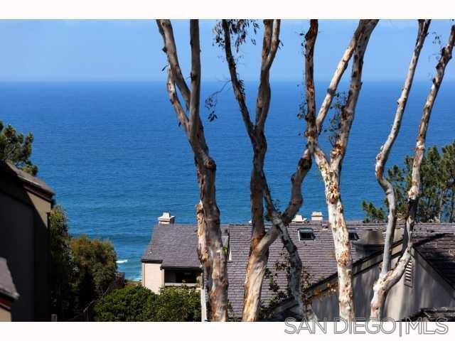 252 Dolphin Cove Ct in Del Mar, CA - Foto de edificio