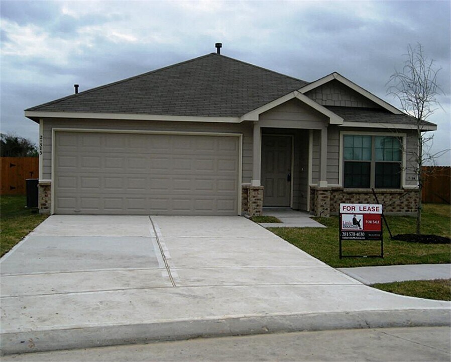 21303 Beacon Springs Lane in Katy, TX - Foto de edificio