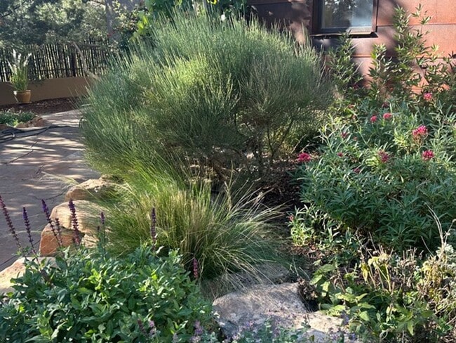 121 W Water St in Santa Fe, NM - Building Photo - Building Photo