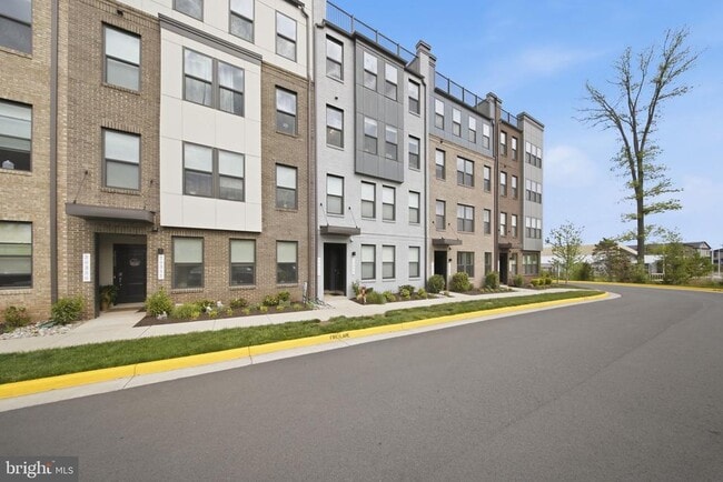 20354 Newfoundland Sq in Ashburn, VA - Building Photo - Building Photo