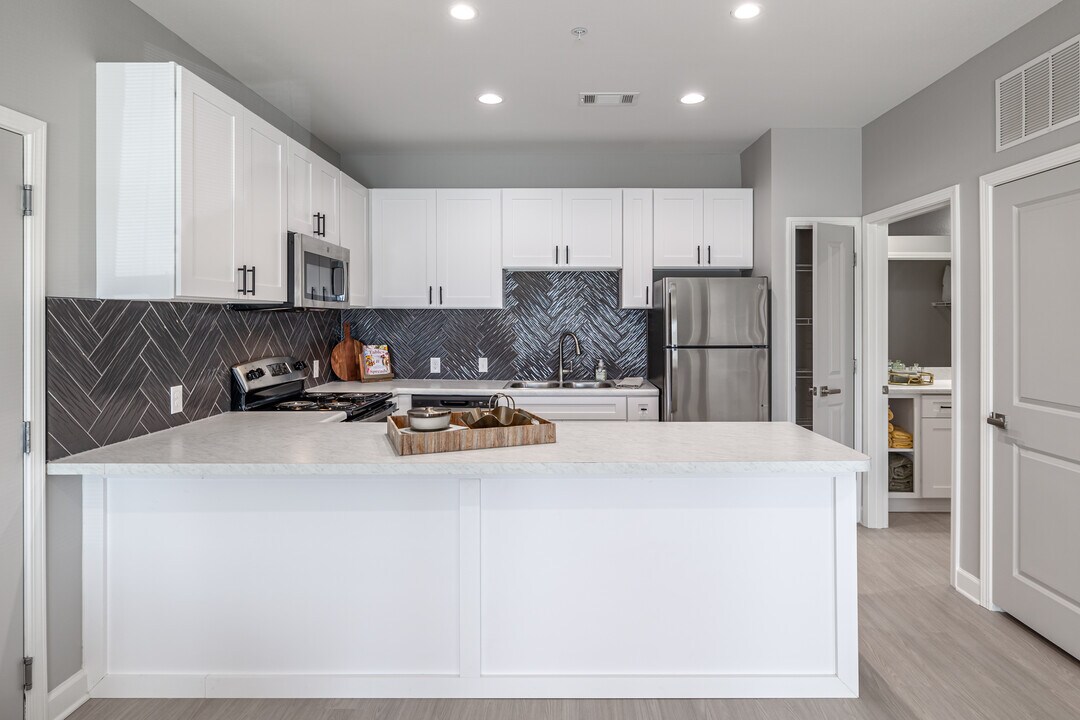 Encore at Lewis Ranch in Conway, AR - Foto de edificio