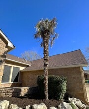 106 Morning Glory Cir in Georgetown, TX - Building Photo - Building Photo