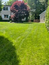 17 Ferry Ln in Westport, CT - Foto de edificio - Building Photo