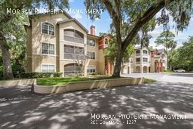 property at 201 Colima Ct