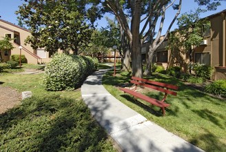 Macara Gardens in Sunnyvale, CA - Building Photo - Building Photo