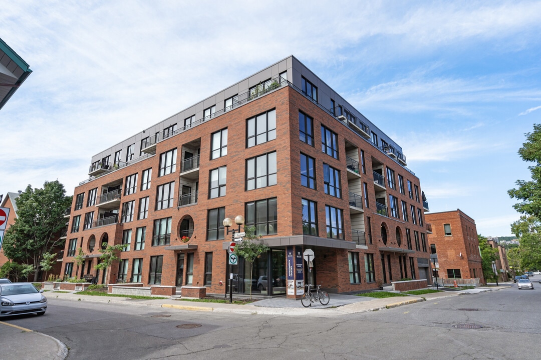 Wilcox Apartments Saint Henri in Montréal, QC - Building Photo