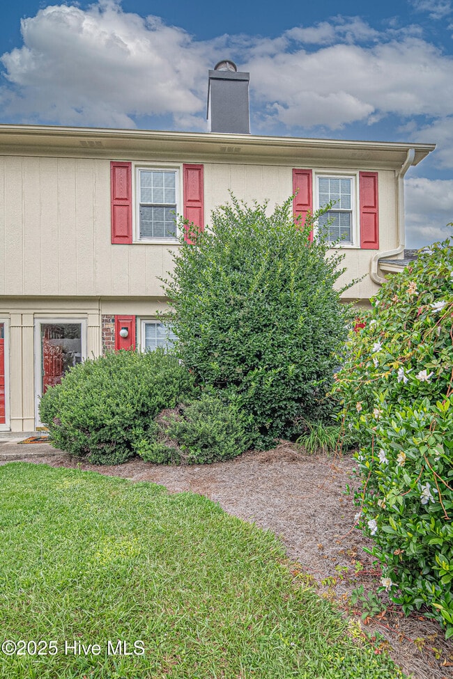 25 Scott St