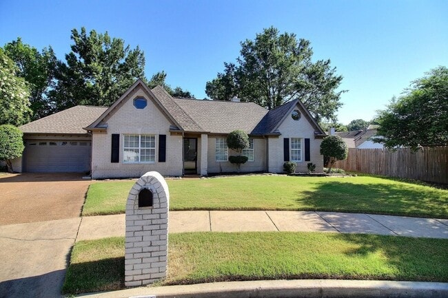 244 Saybrook Cove in Collierville, TN - Building Photo - Building Photo