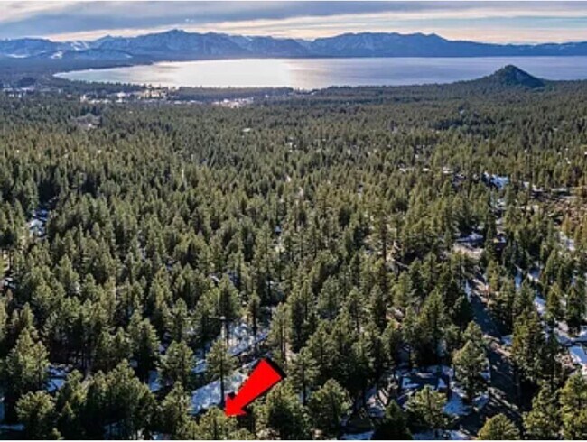 368 Terrace View Dr in Stateline, NV - Building Photo - Building Photo