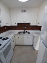 209 Flower Ave in Las Vegas, NV - Building Photo