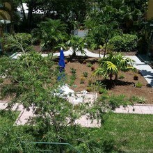 721 NE 16th Ave-Unit -3C in Fort Lauderdale, FL - Building Photo - Building Photo