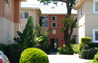 261 S New Hampshire Ave in Los Angeles, CA - Foto de edificio - Building Photo