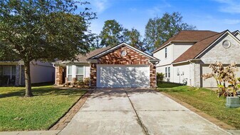16882 Blackberry Lily Ln in Conroe, TX - Building Photo
