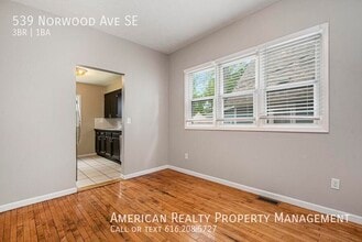 539 Norwood Ave SE in Grand Rapids, MI - Building Photo - Building Photo
