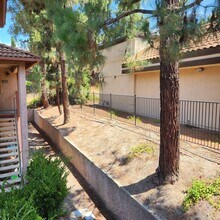 12063 Alta Carmel Ct in San Diego, CA - Building Photo - Building Photo