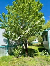 2000 Reynolds Ave in Butte, MT - Building Photo - Building Photo