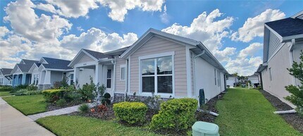 28564 Sweet Persimmon Dr in Wesley Chapel, FL - Foto de edificio - Building Photo